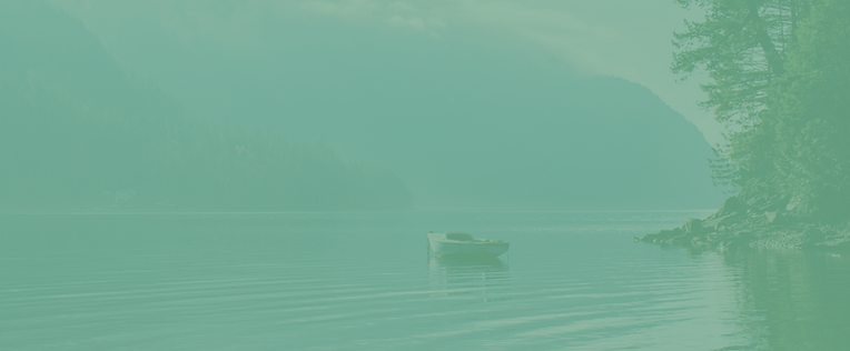 SS-Home-03.png