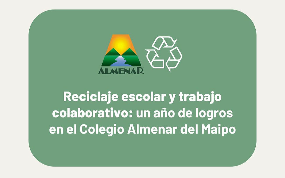 ♻️ Compromiso con el medioambiente: un año de reciclaje en comunidad