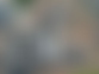 Walk With Us Around Fairwater Campus