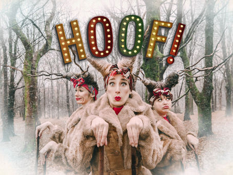 Christmas Theatre Show @ Llanrumney Hall