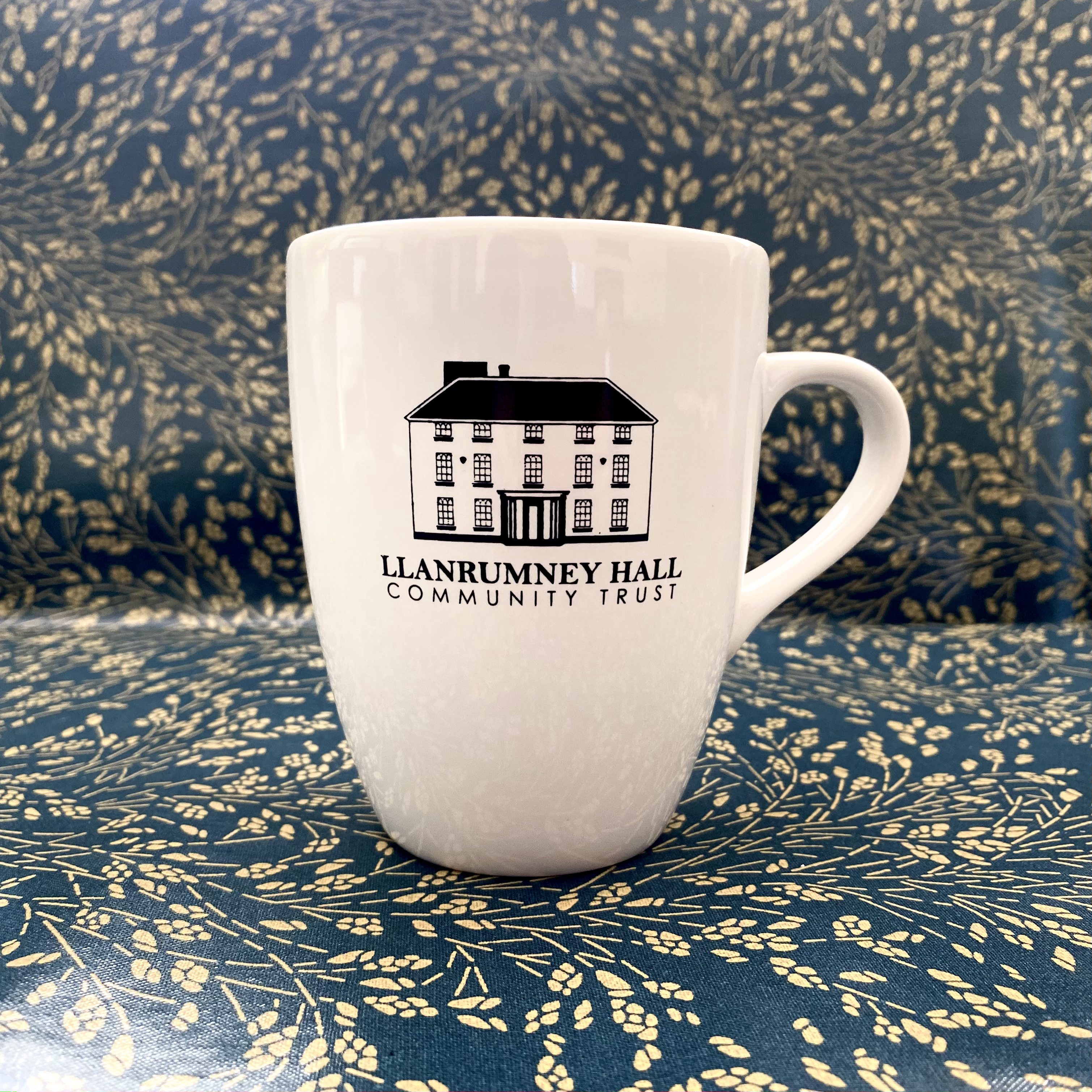 Deal: Llanrumney Hall Mug & Pen
