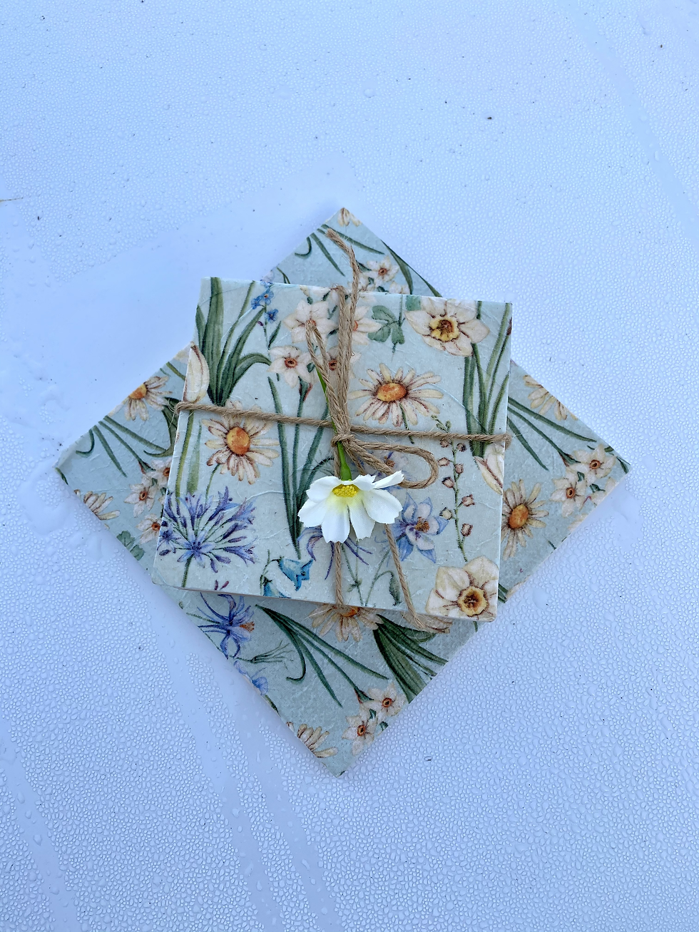 Thumbnail: Daisy Print Coaster & Trivet Set