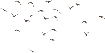 hearth (1)-Photoroom_edited.png