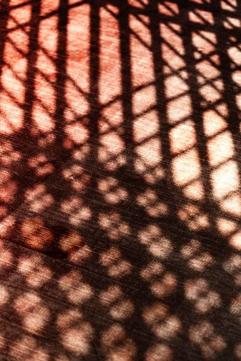 Leila ter Haar X Eversom X WANDD by Frederieke Josephine-07