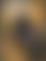 Raven Symbolism and Intelligence: The Meaning Behind Our Raven Art Collection