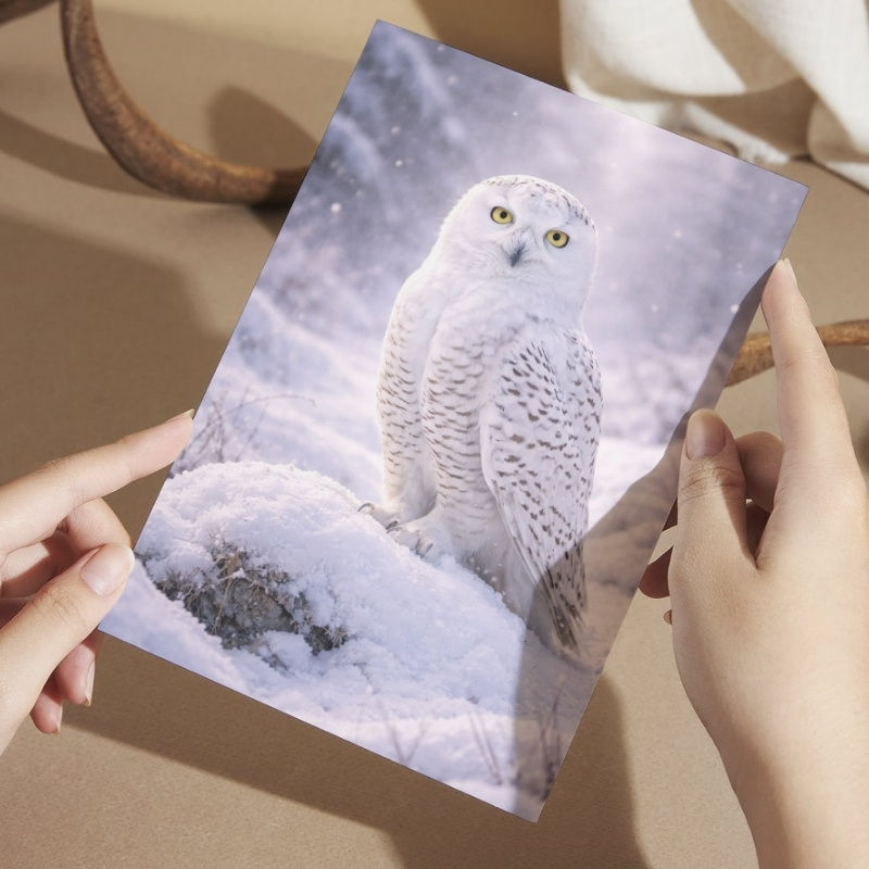 Snowy owl sitting on snow in a serene winter landscape, illustrated greeting card artwork.