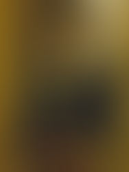 Reclaiming the Gaze: Medusa as Muse 