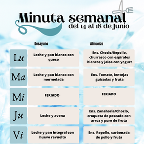 Minuta semanal del 14 al 18 de Julio