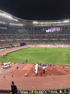 実際に観戦していた席からの風景