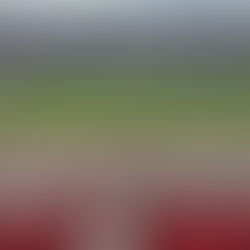 陸上大会の救護現場とは?兵庫リレーカーニバルでのトレーナー活動レポート