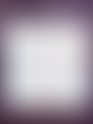 11月のスケジュール