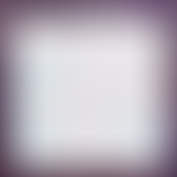 11月のスケジュール