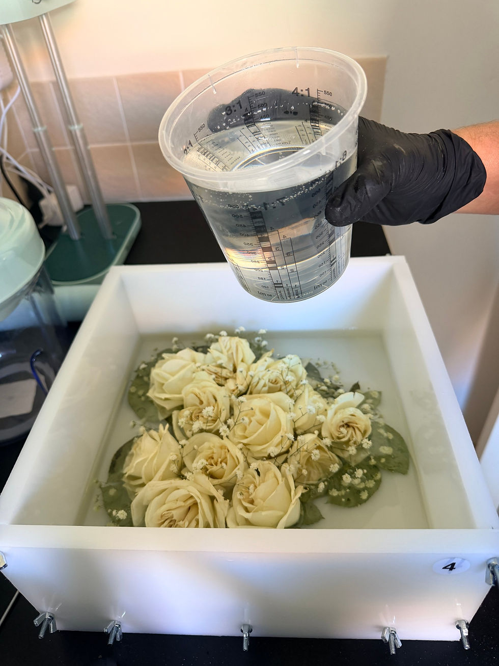 Silica-dried white roses arranged in a heart inside a resin mould. Pouring clear resin over dried proposal roses to make a resin flower preservation block