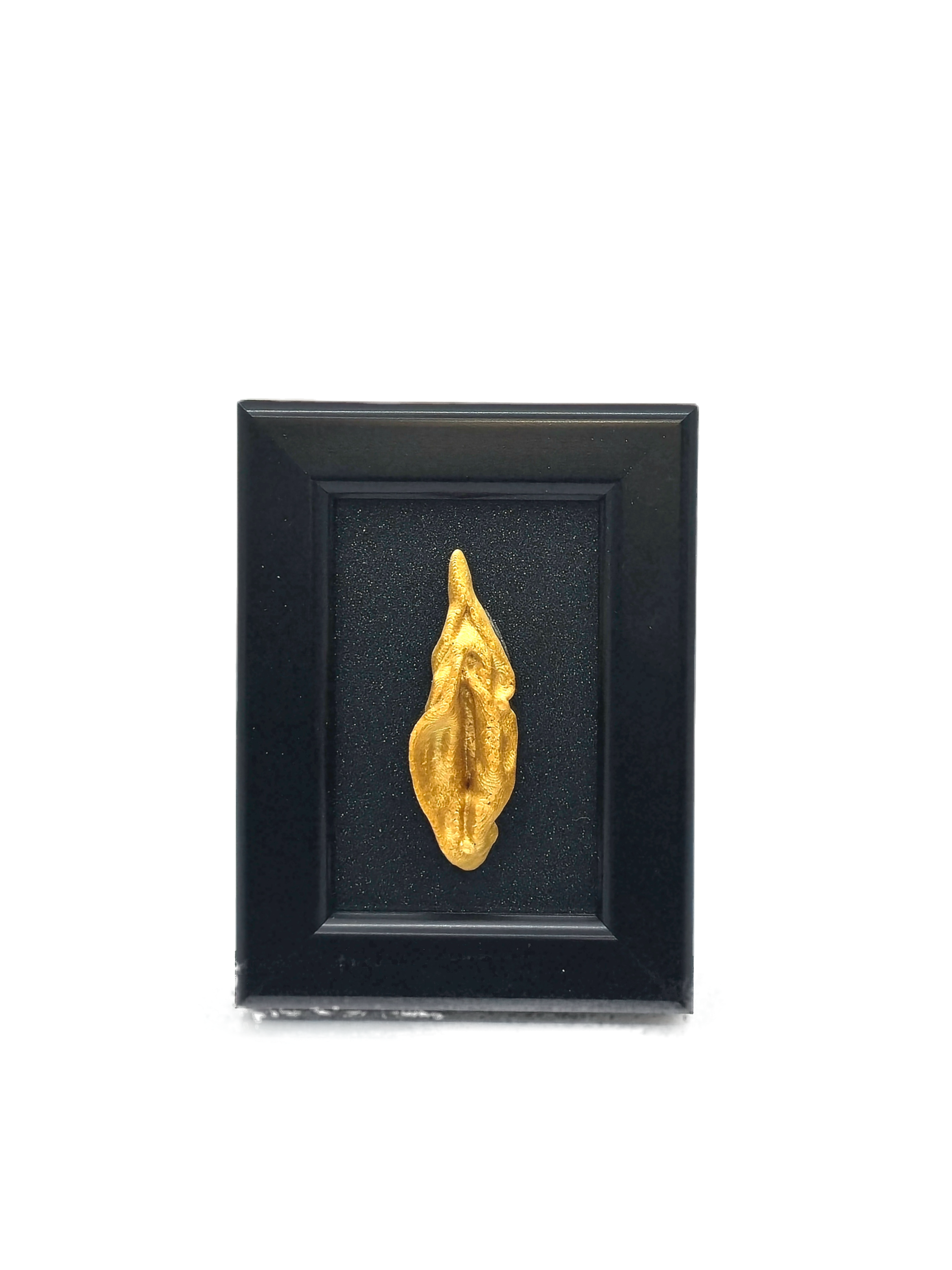 Gold Penelope Peacock Pussnikitty Petites Line in Black with Black BG