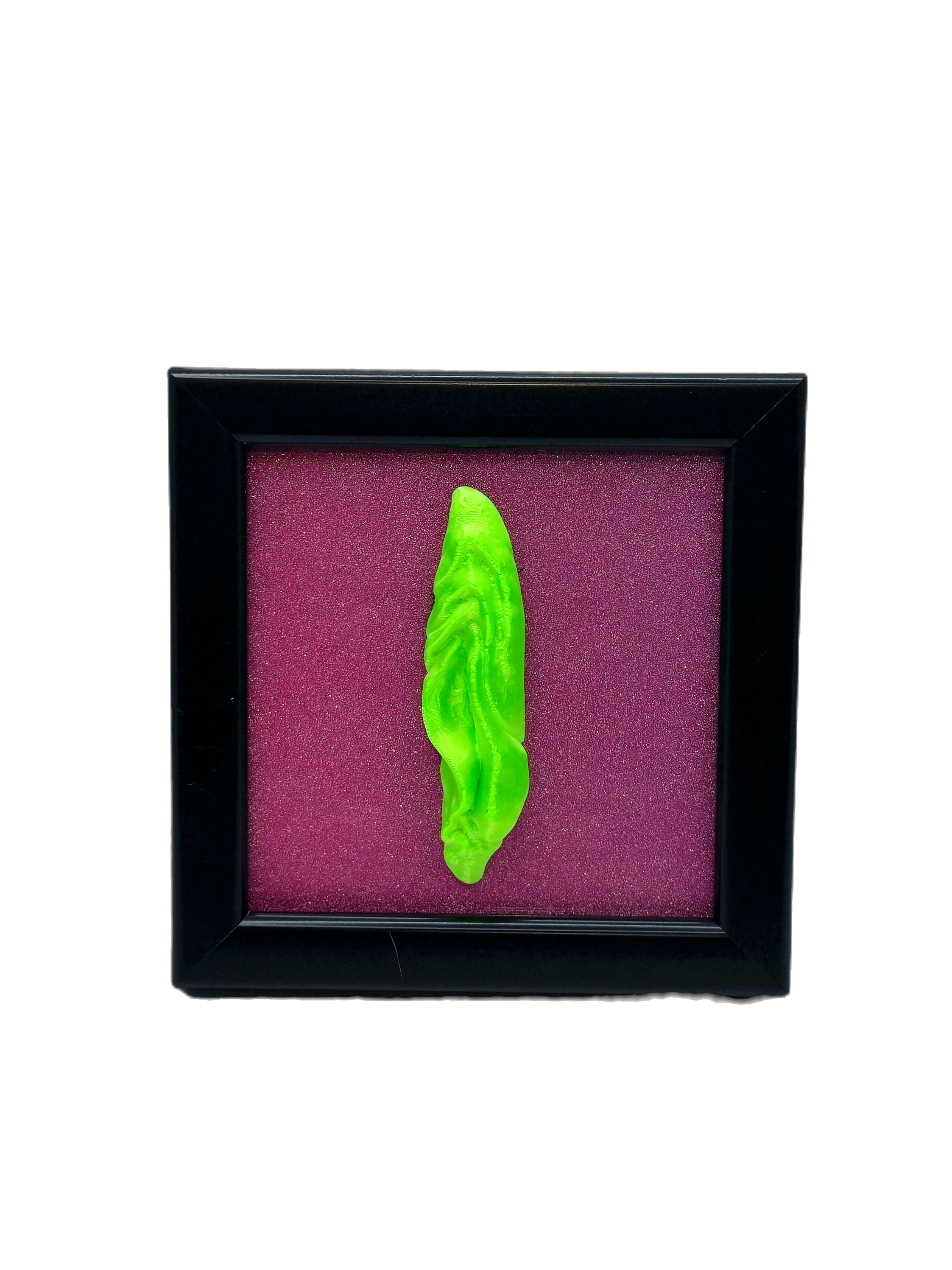 Lime Wolfgang from our Pussnikitty Smalls Collection in Black