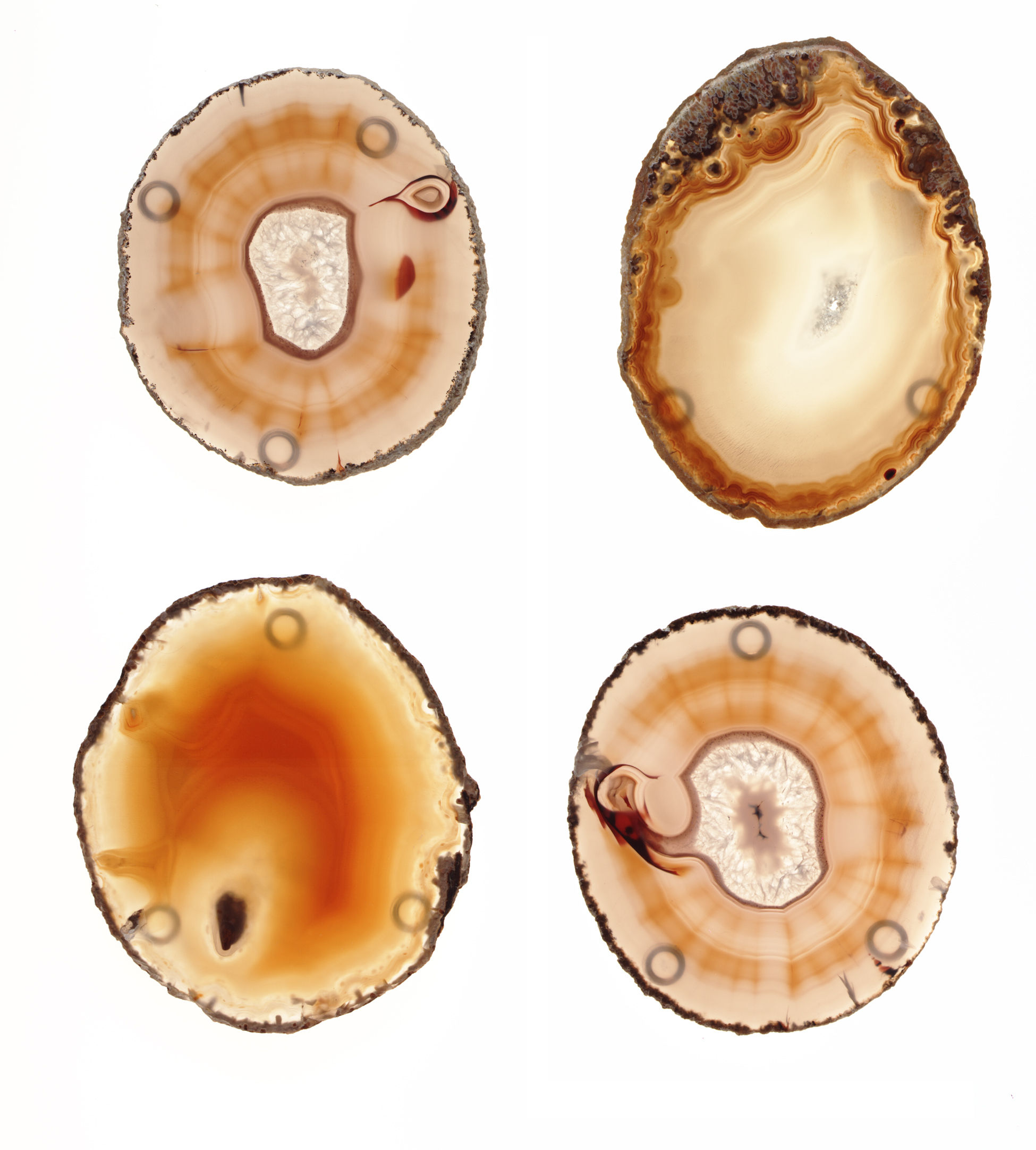 Anna by Rablabs Pedra Coasters in Sand Set of 4