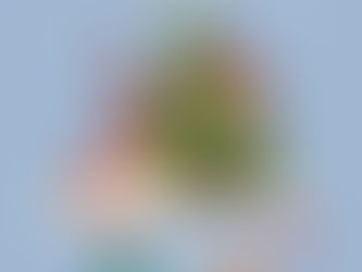 Deadlines for Shipping Orders