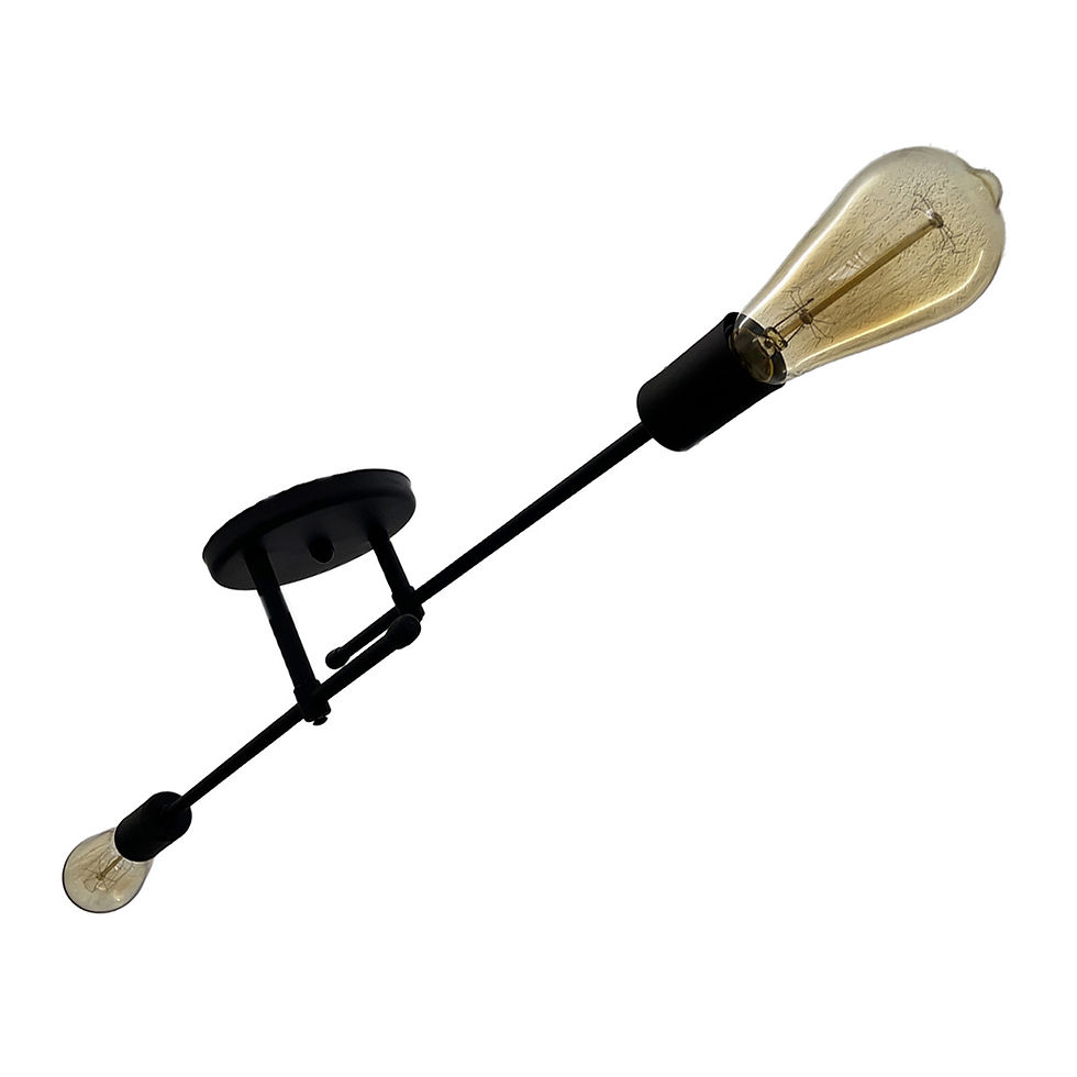 Miniatura: Plafon P 81 Flecha 2 Luces
