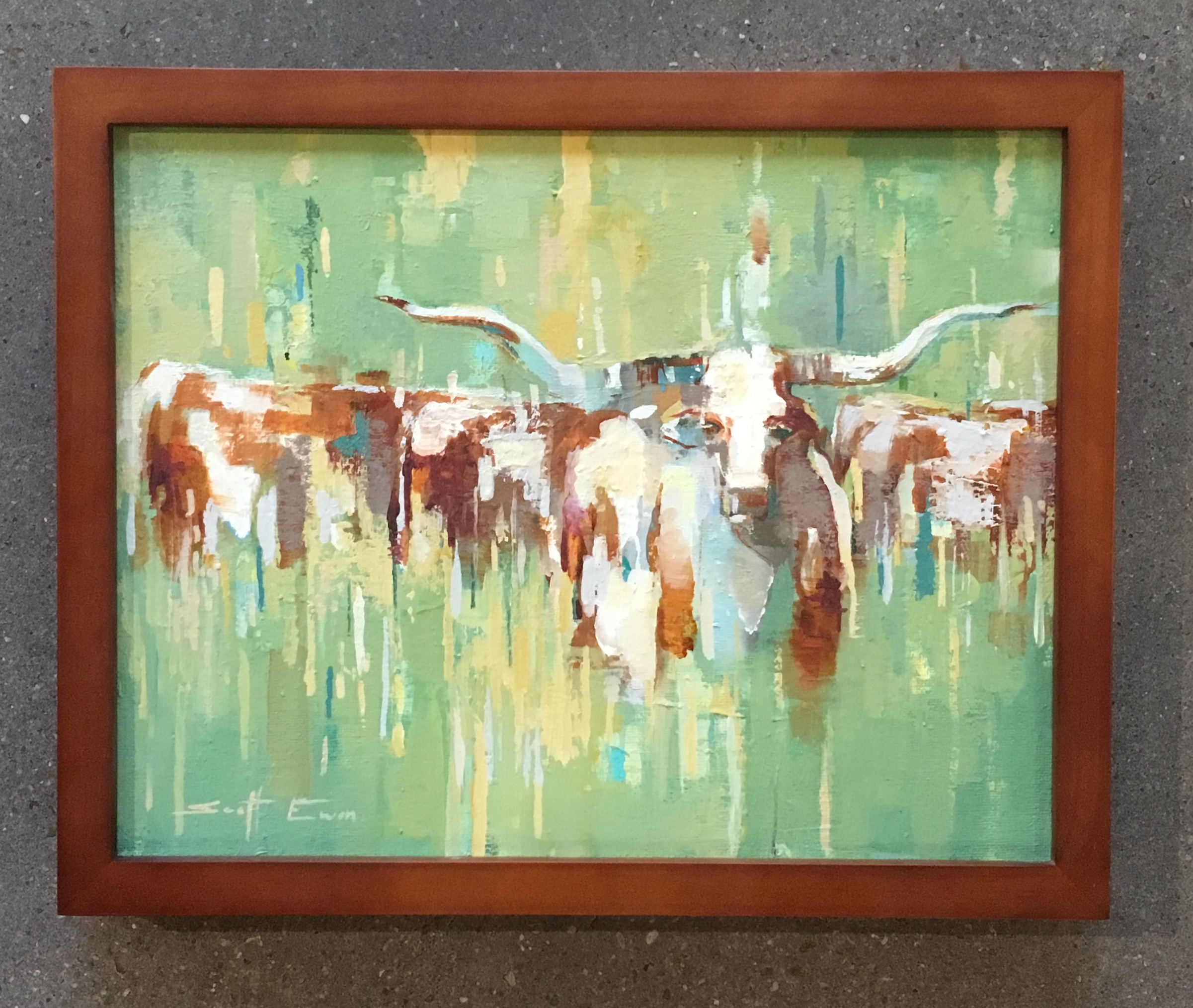 Longhorns in a Field