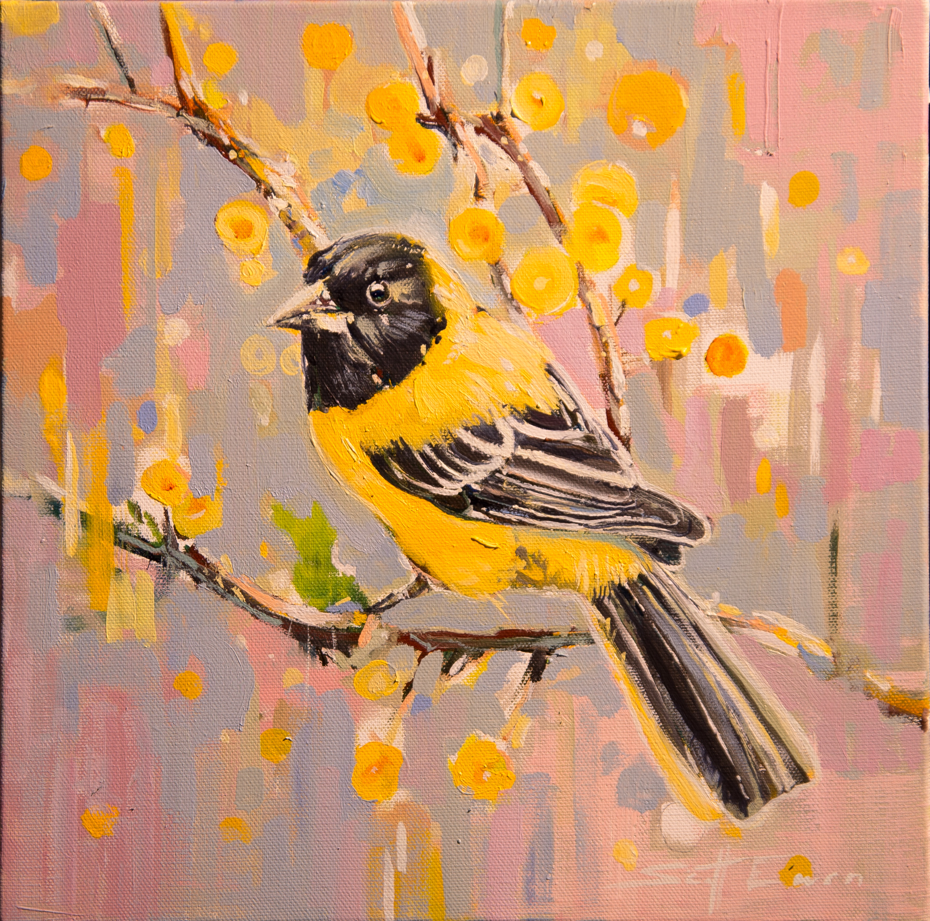 Audubon's Oriole