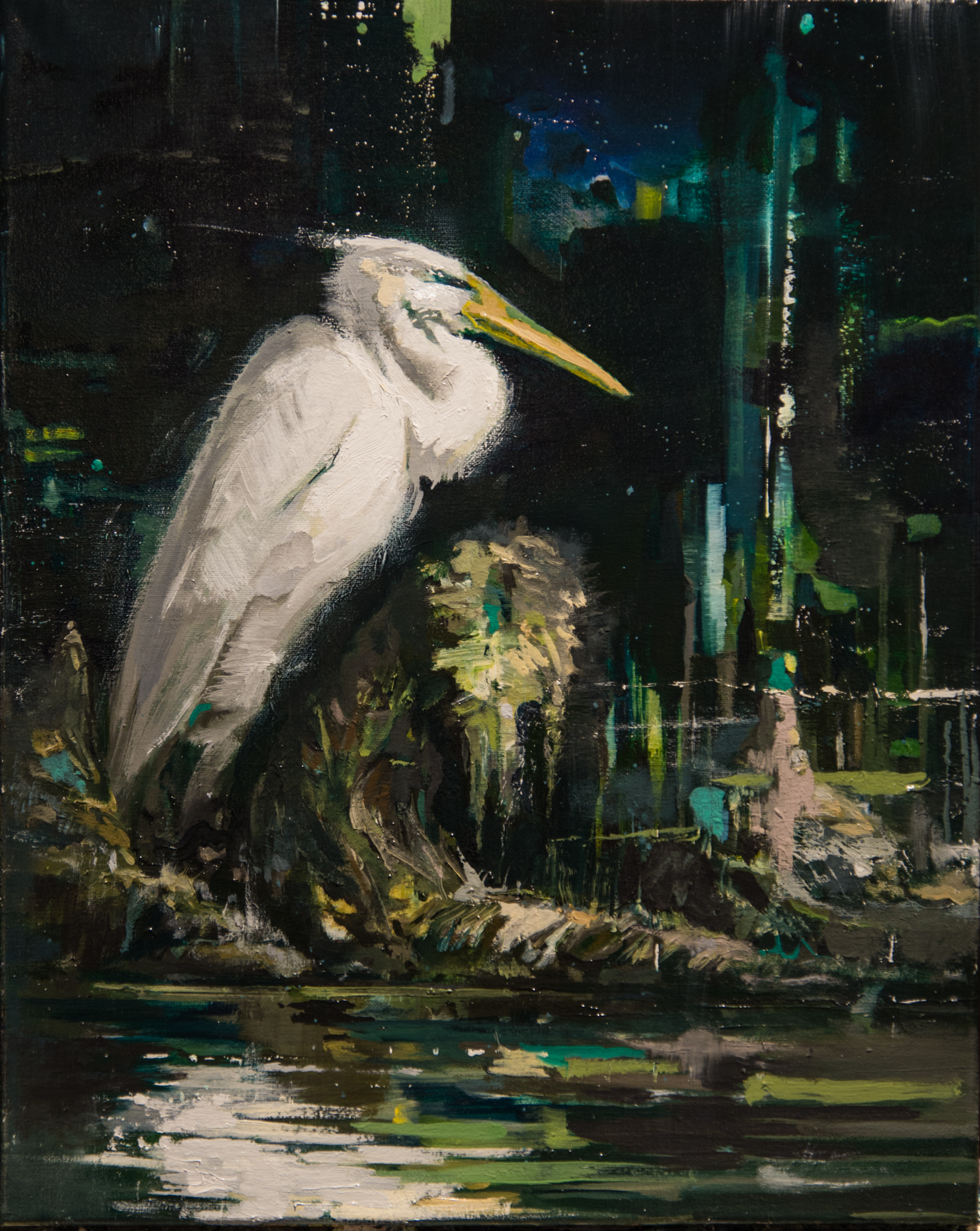 Resting Egret