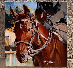 Roo / 12" x 12" / Oil on linen