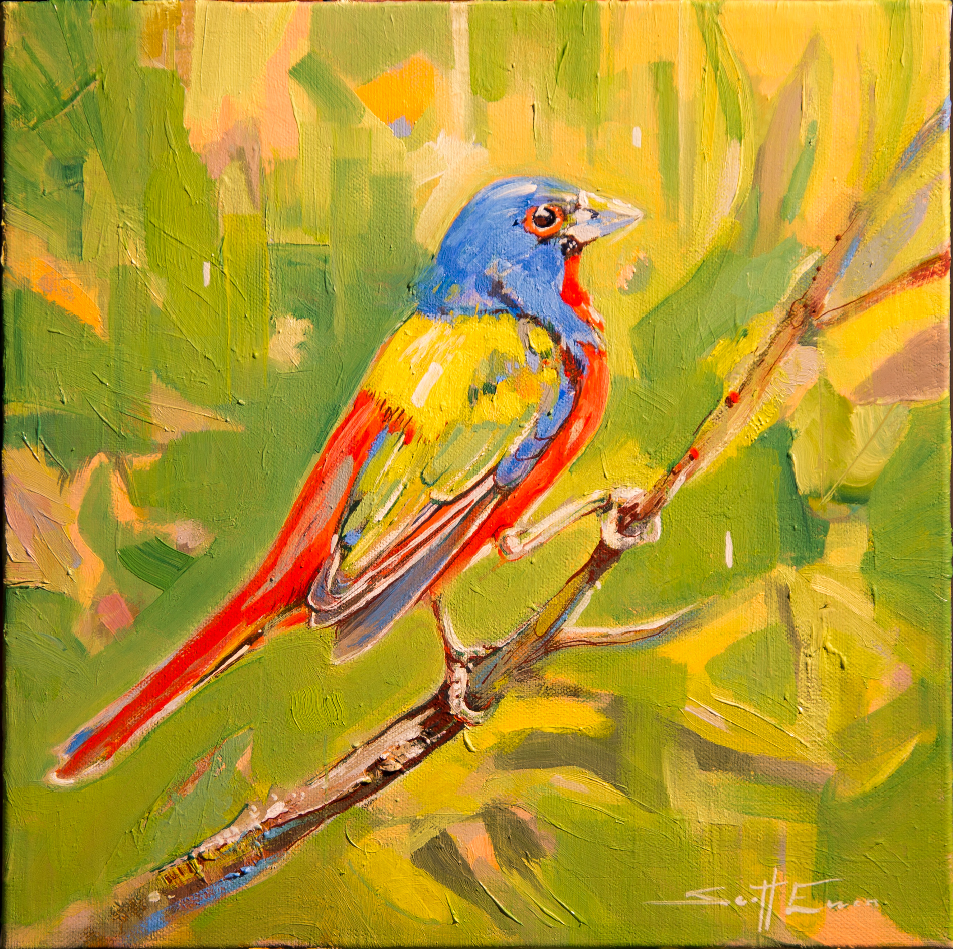 Painted Bunting