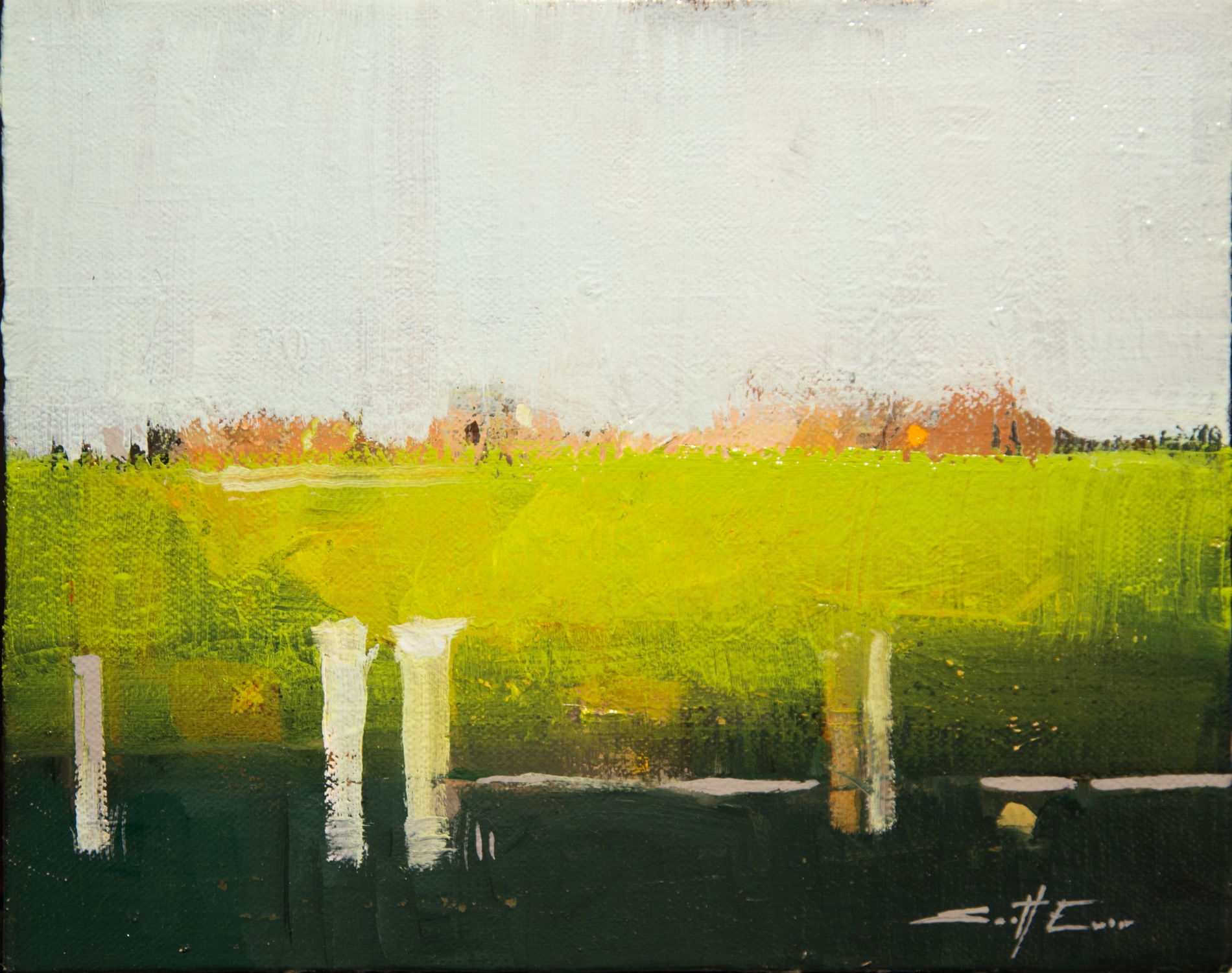 Texas Field