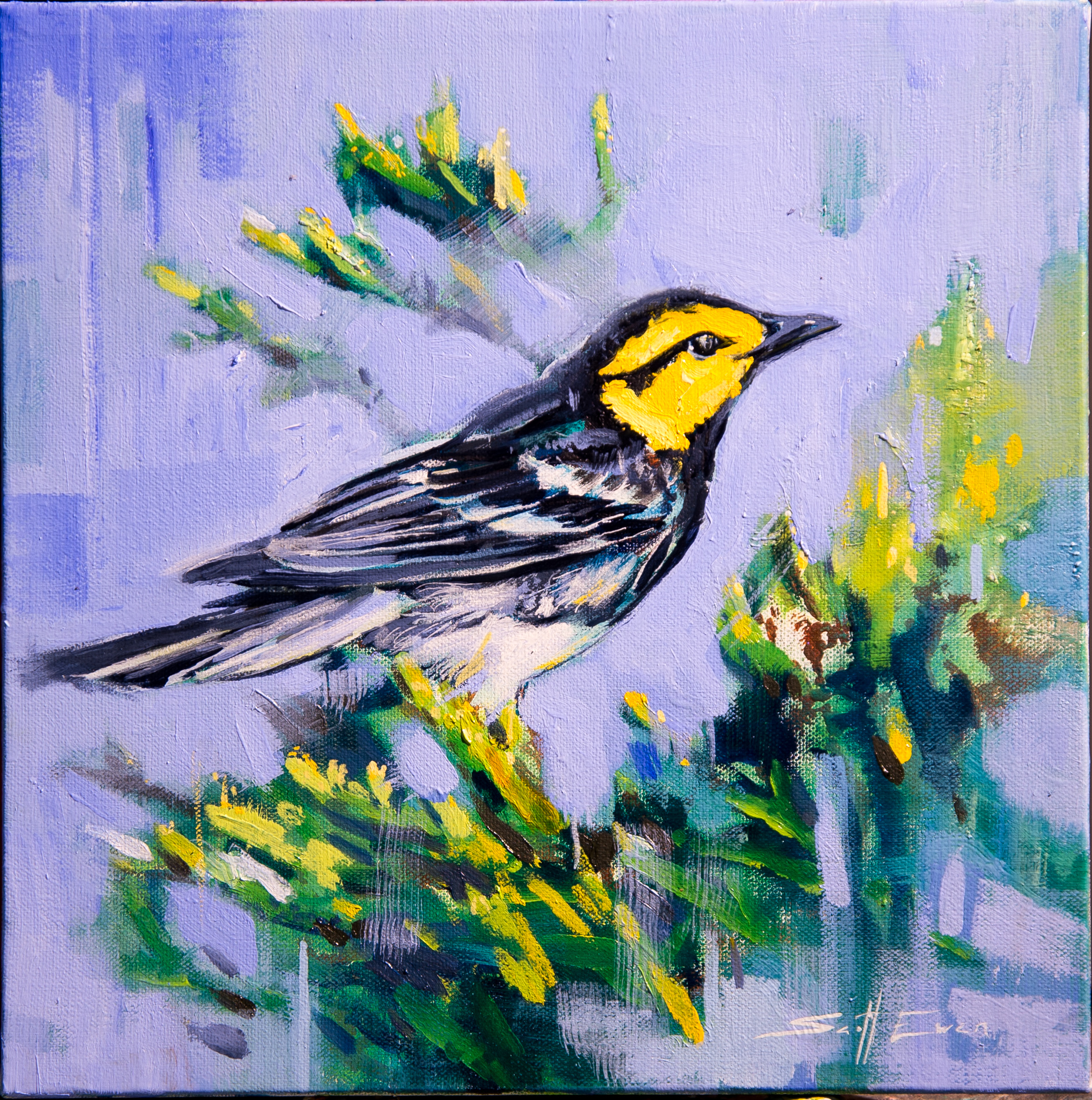 Yellowfaced Warbler