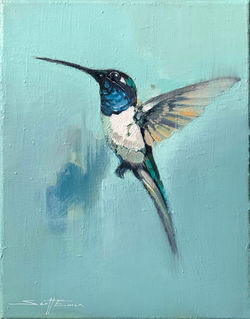 Blue Hummingbird