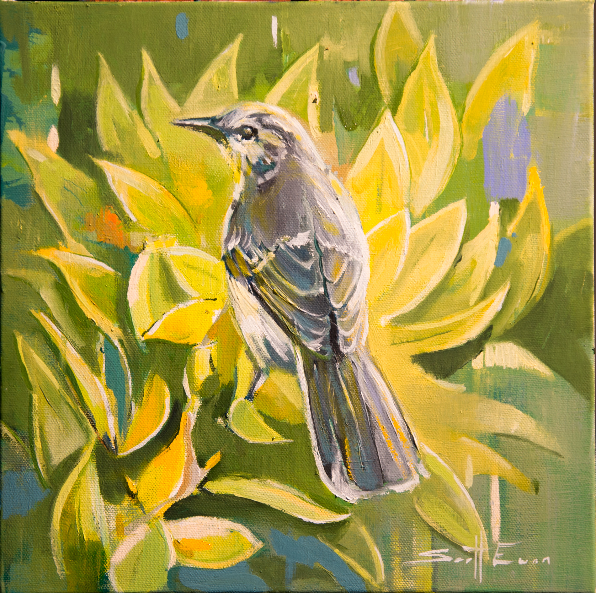 Mockingbird