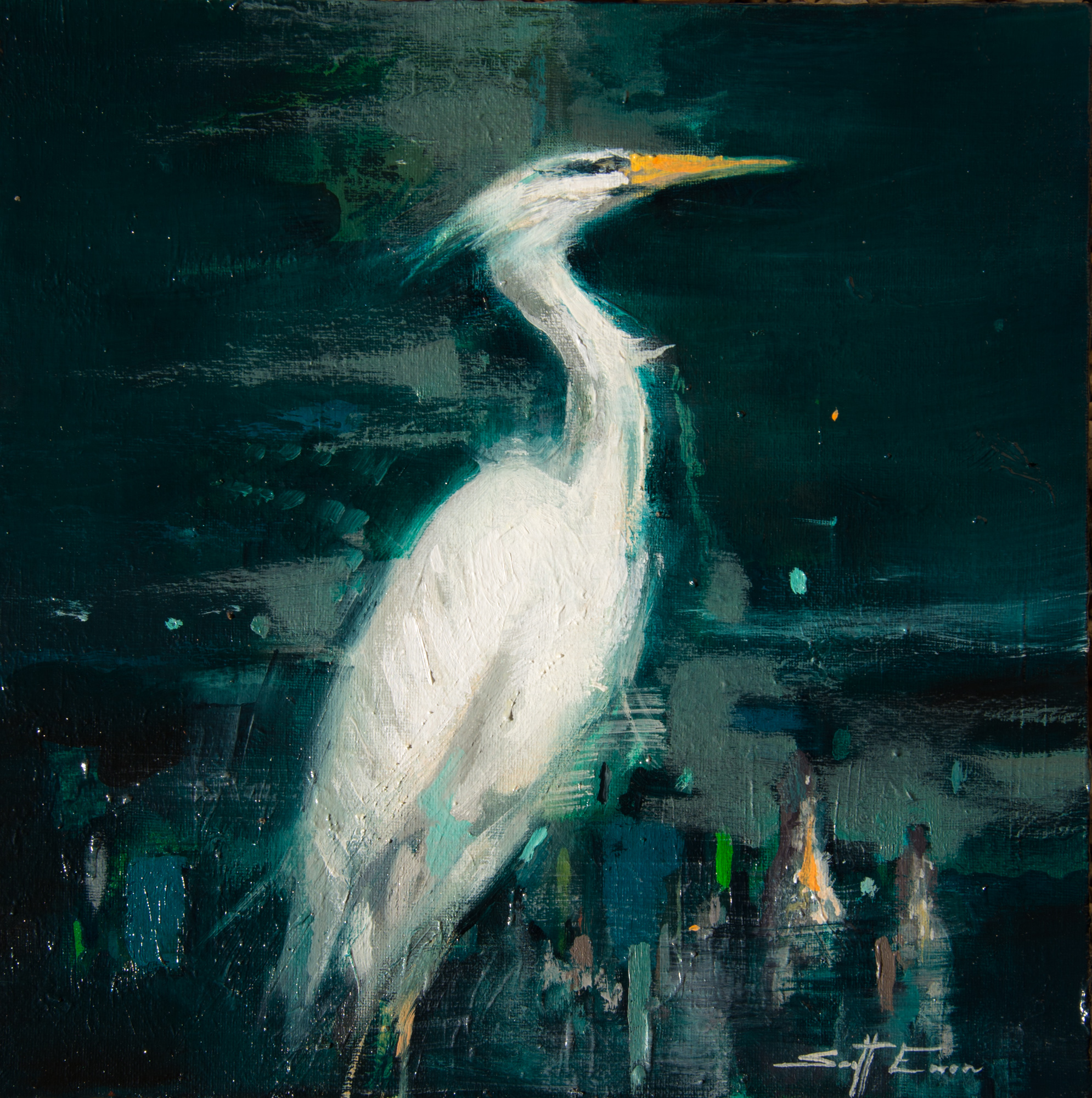 Egret in Cypress