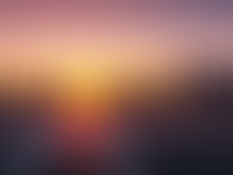 서울 논현역오피(논현역OP)