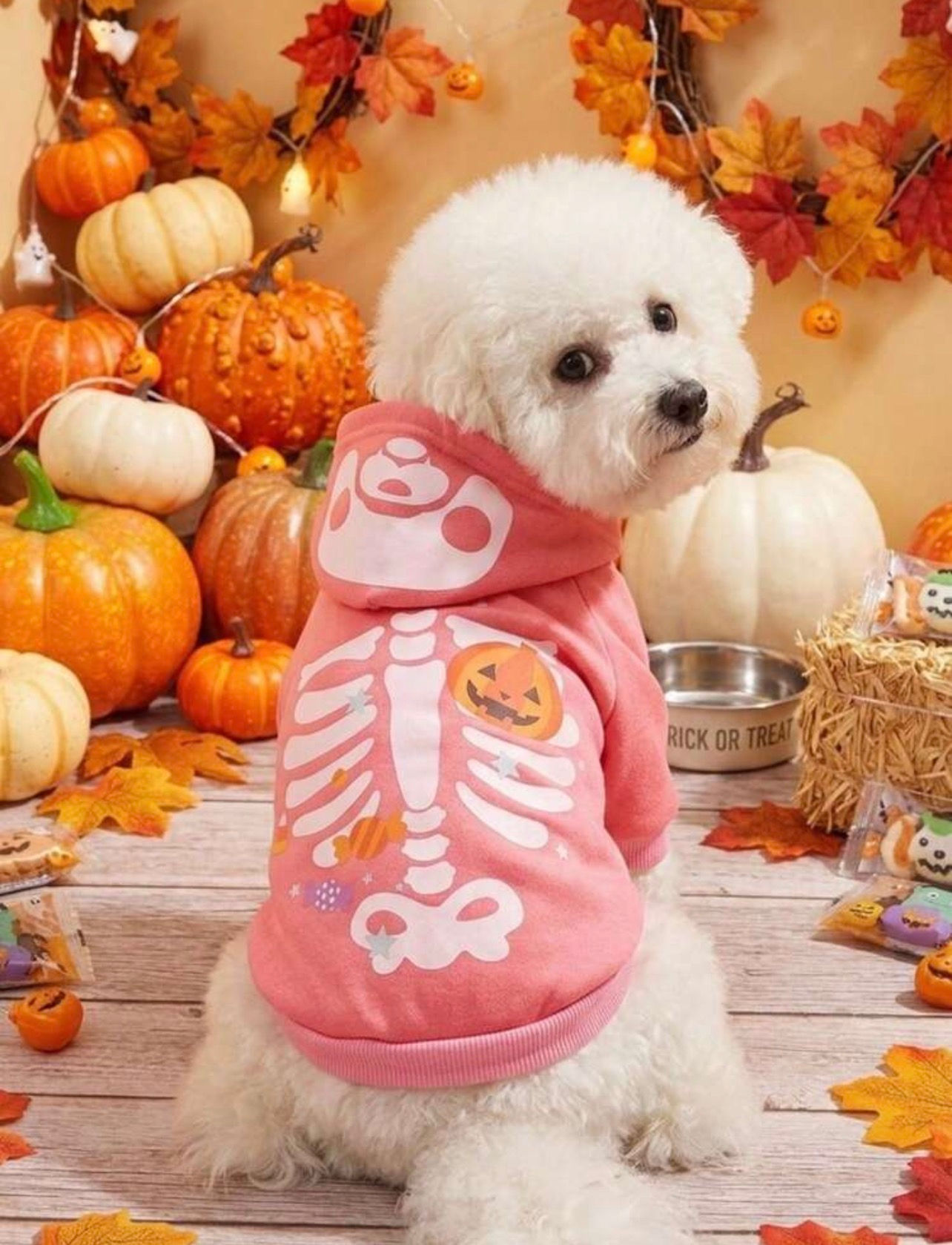 Pink Skeleton Halloween Dog Hoodie