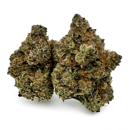 BLUEBERRY BISCUIT | OBJECTIV