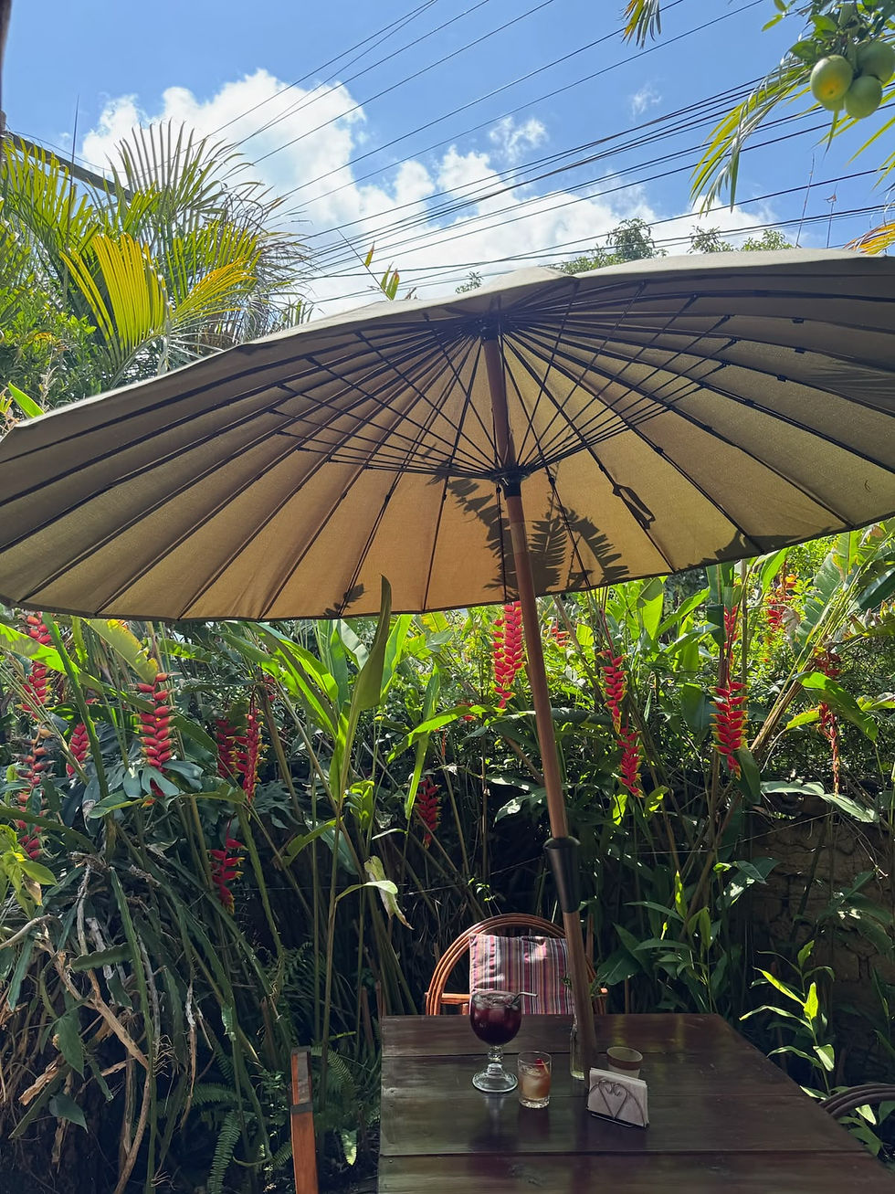 Outdoor table beneath a large umbrella surrounded by tropical heliconias and lush greenery at El Gato Perdido in San Juan La Laguna.