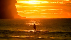 Golden SUP - MacMasters Beach, NSW