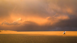 Storm Surfer - Wamberal Beach, New South Wales