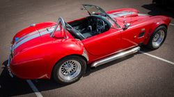 Snakebite - AC Cobra 427