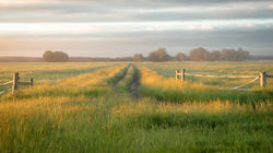 Pastoral Magic - Jindong, Western Australia