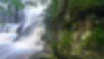 Moss, Rock, Water, Wood - Somersby Falls, NSW