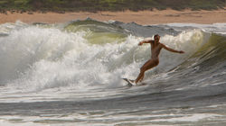 Wahine - Avoca Beach, NSW