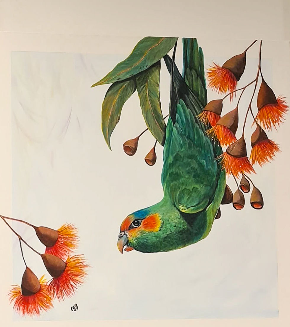 IMG-20250823-WA0005-2