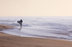 Solitude - Wamberal Beach, NSW