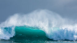 Liquid Jade - Wamberal Beach, NSW
