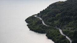 Ribbon - Glenorchy, New Zealand