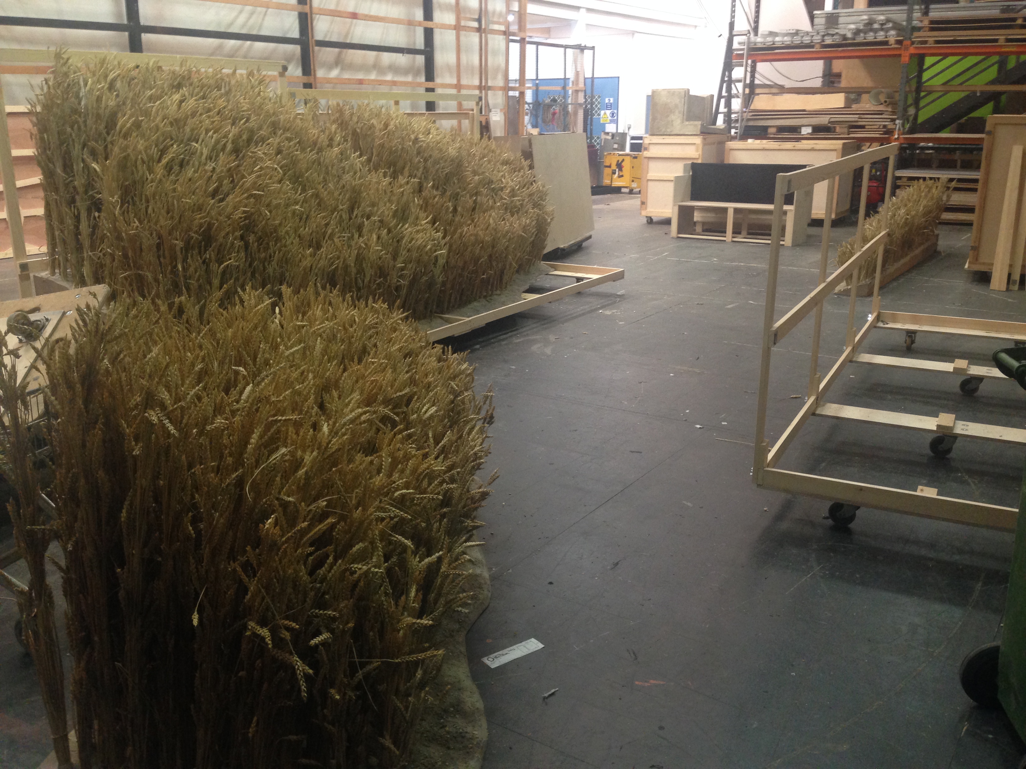 Wheatfield
