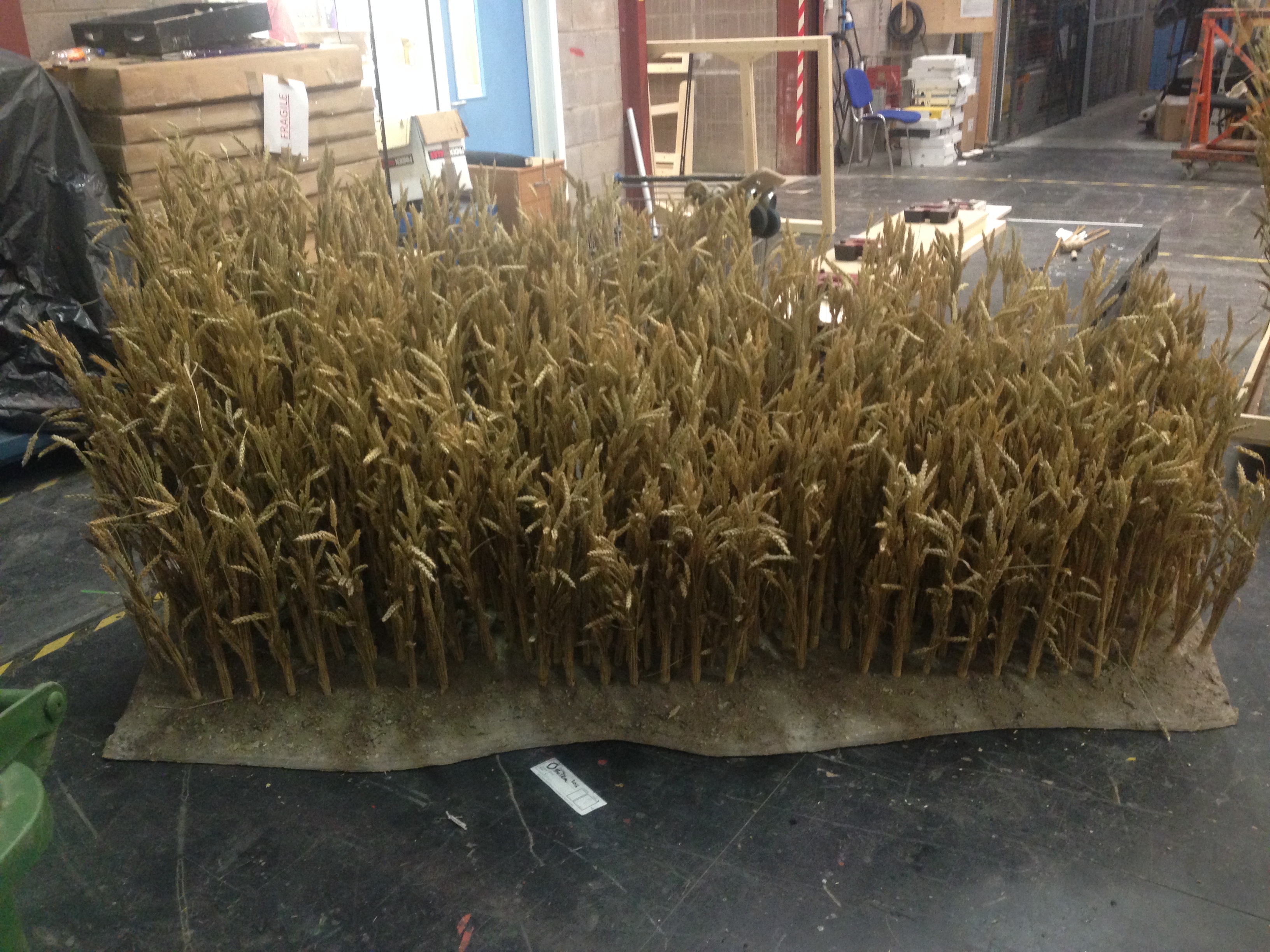 Wheatfield