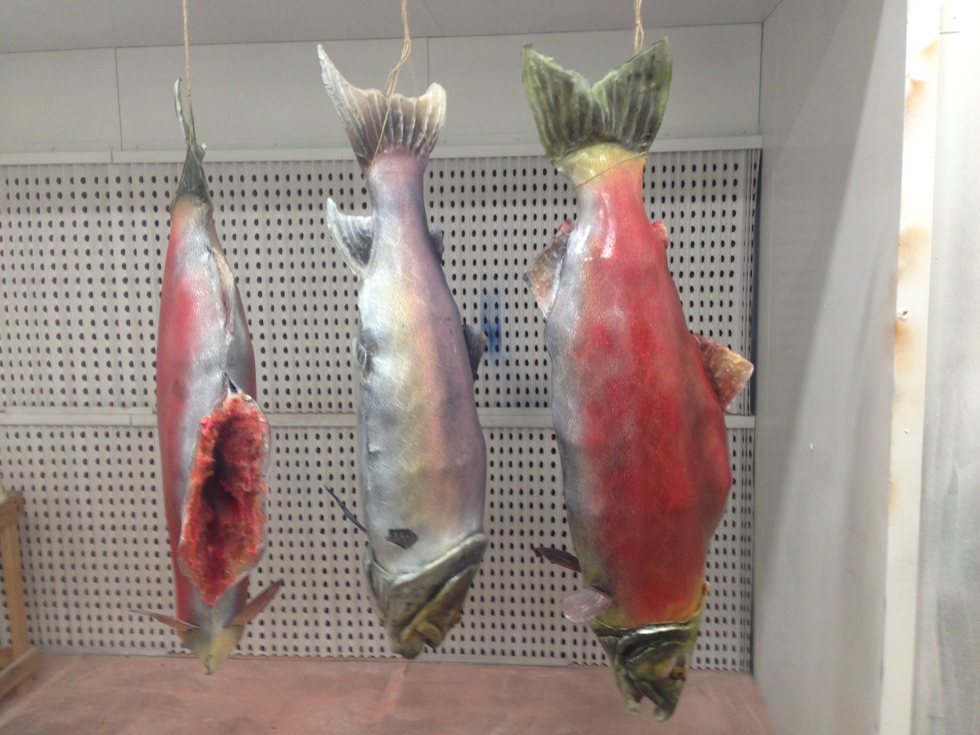 Oversized Fish