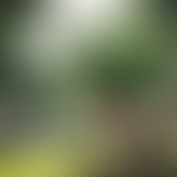 Har du hört talas om BROKEN WINDOW THEORY?